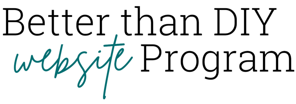 Better Than Diy Website Program Logo