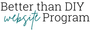 Better Than DIY Website Program
